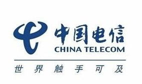 中国电信新一轮机构改革 地级市公司迈向销售服务新定位